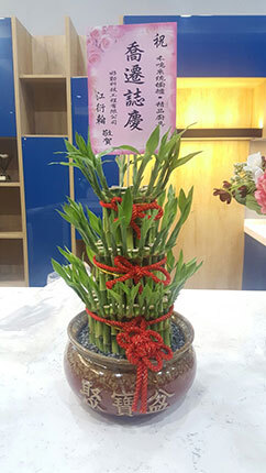 開運竹~5
